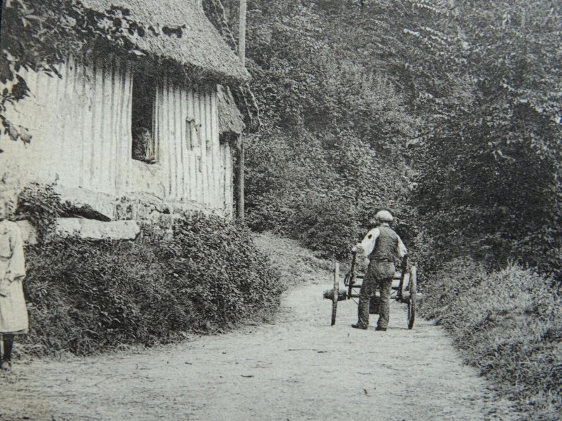 France Veules Les Roses CHEMIN DES CRESSONNIERES c1904 UB Postcard