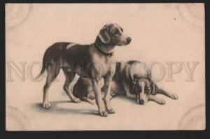 3116782 POINTER Dogs by REICHERT Vintage VIENNE tinted PC