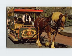 Postcard Horse Drawn Streetcar, Main Street, U.S.A., Walt Disney World, Florida