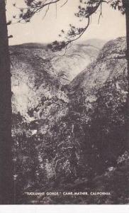 Califorinia Tuolumne Gorge Camp Mather Artvue