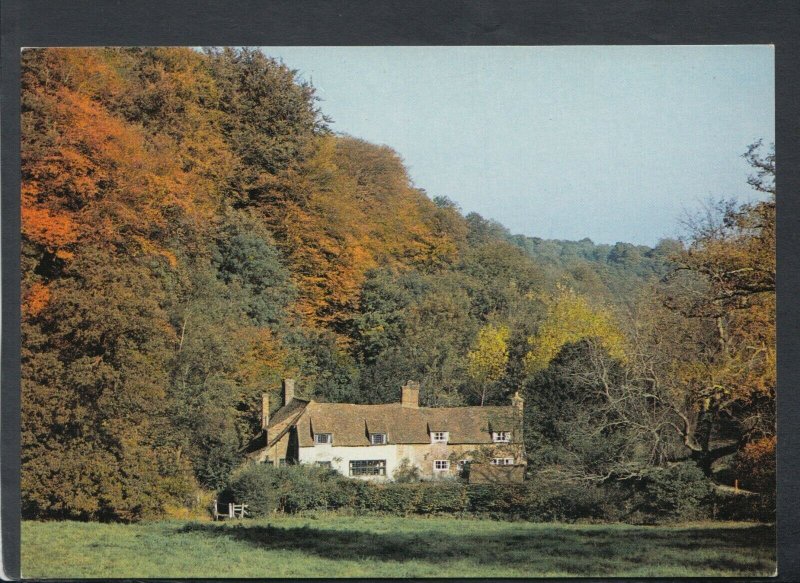 Hampshire Postcard - Dorton Cottage, Selborne     RR7182