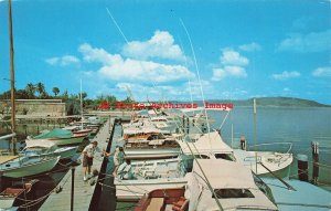 Jamaica, Port Royal, Morgans Harbour Fishing Boat Fleet