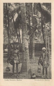 Toddy Drawers Madras Indian Old Tree Climber Postcard