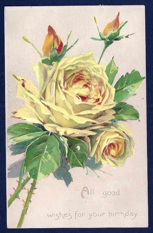 Good Wishes for Your Birthday Yellow Roses used c1910