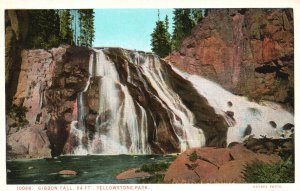 Vintage Postcard 1920's Gibbon Fall Canyon Yellowstone National Park Wyoming WY