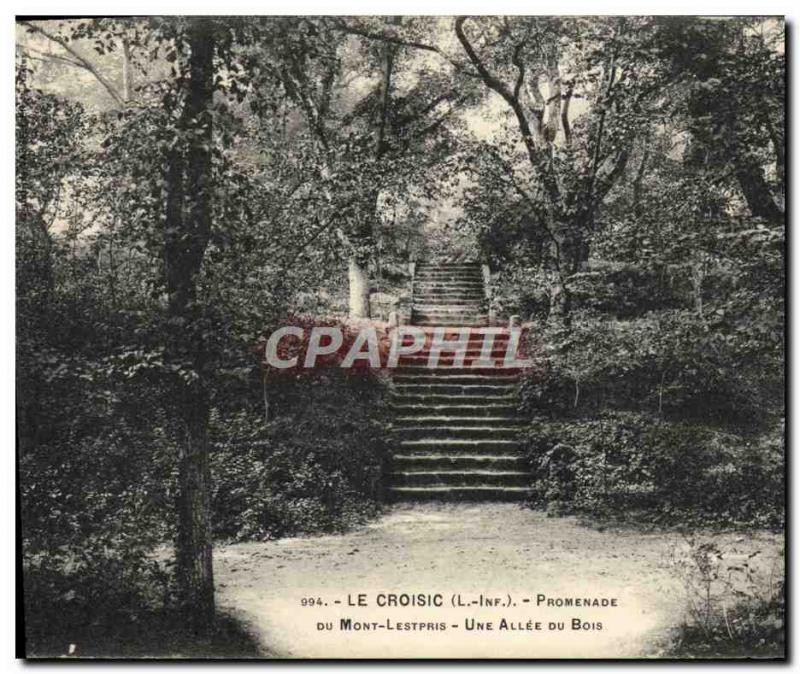 Old Postcard Croisic Promenade Du Mont Lestpris A Allee Du Bois