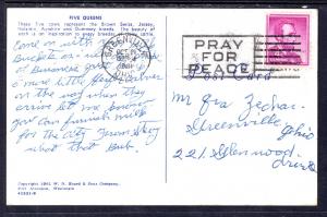 Five Queens Cows,HoardsDairyman,Fort Atkinson,WI BIN