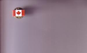 Pin, Plastic, Canada Flag