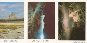 Aillwee Cave Burren County Clare Ireland 3x Visitor Postcard s