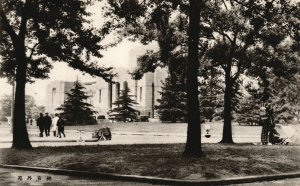 Vintage Postcard Recreational Park Shaded Pine Trees In Front Of White Building