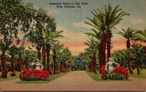 Louisiana New Orleans Anseman Drive In City Park 1949 Curteich