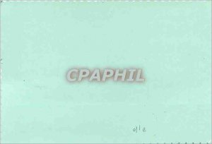 Modern Postcard Best Wishes Fishes