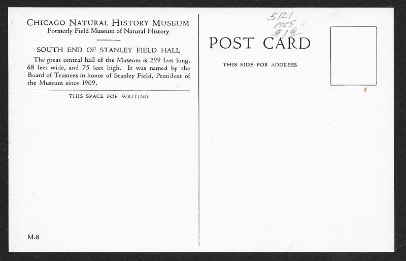 Natural History Museum South End Stanley Hall Chicago Illinois Unused c1950s