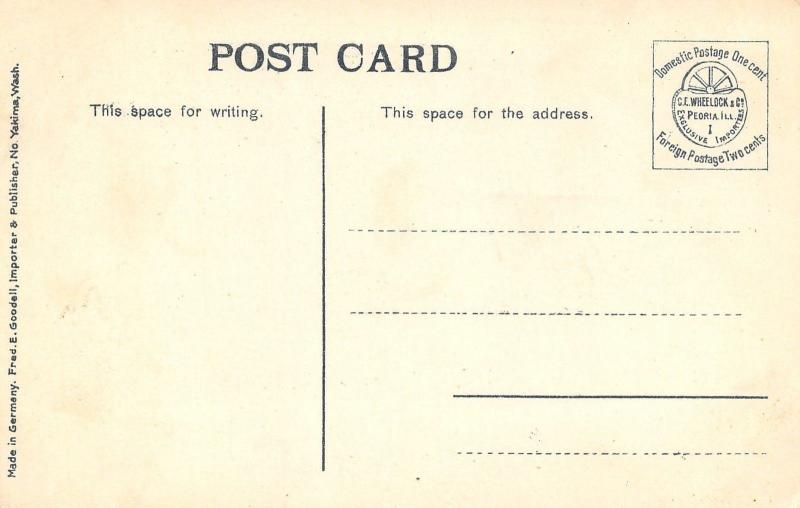 North Yakima Washington~Yakima River~Union Gap~Telephone Poles~1908 PC