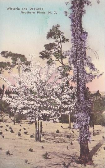 Wisteria And Dogwood Southern Pines North Carolina Albertype Handcolored