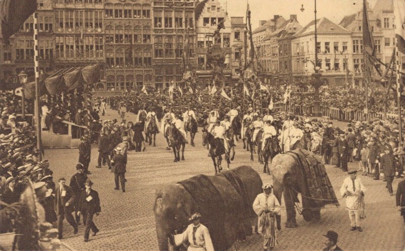 Belgium Antwerp Anvers Parade Elephants Vintage Postcard 07.14 