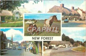 Old Postcard New Forest Ibsley Old Cottage Old Cottage Ringwood New Forest Po...