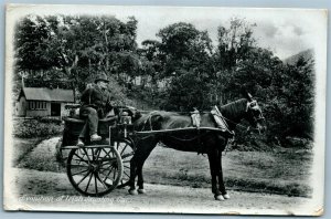 IRELAND EVOLUTION OF IRISH JAUNTING CAR ANTIQUE REAL PHOTO POSTCARD RPPC