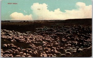 Sheep Ranch Animal Pature Overlooking the Mountains Postcard