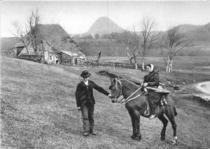 B56702 Auvergne Gerbier des Joncs horse chaveaux   france