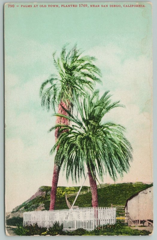 Santa Barbara California~Palms At Old Town~c1910 Postcard