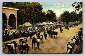 J91/ Fremont Ohio Postcard c1910 Stock Exhibit Sandusky County Fair 386