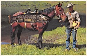 Man With a Horse Carrying a Huge Fish Fishing 1992 