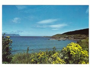 Summertime In Cape Breton Island, Nova Scotia, Chrome Postcard