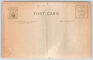 St Paul Minnesota~Orpheum Theatre~Gallery Entrance On Side~Popcorn Wagon~c1910