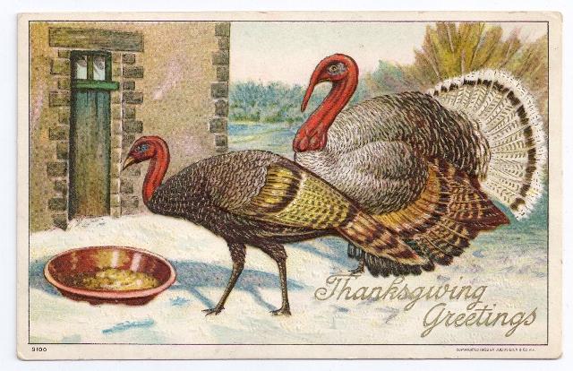 Julius Bien Turkeys Eating Tom Hen Vintage Embossed 1908 Thanksgiving Postcard