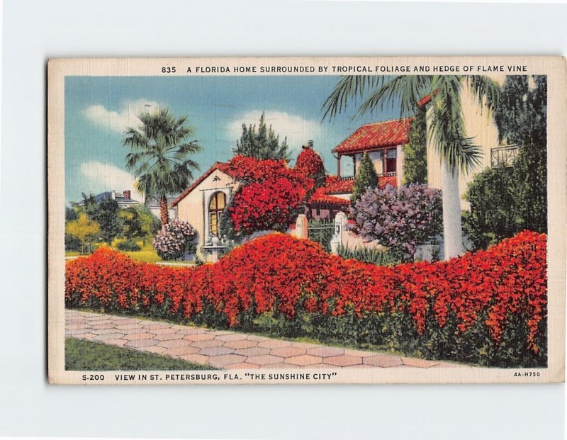 Postcard A Florida Home The Sunshine City View In St. Petersburg Florida USA