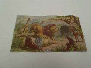 Victorian Trade Card The Alden Fruit Vinegar Jungle Scene Lions Giraffes Camel