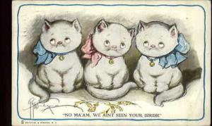 Grace Wiederseim Cute White Kitty Cats 'We Ain't Seen You...