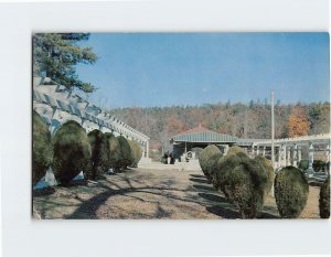 Postcard World-Famous Mountain Valley Mineral Water Springs, Hot Springs, AR