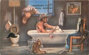 1950s Megargee Cowboy Bath Tub Horse humor Petley Postcard 22-6379