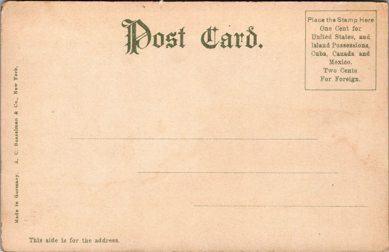 Vtg 1900s Van Wickle Gate Brown University Providence Rhode Island RI Postcard