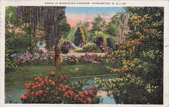 Scene In Middleton Gardens Charleston South Carolina 1937