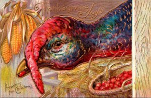 Thanksgiving Greetings With Turkey 1911