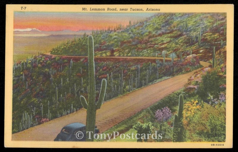 Mt. Lemmon Road, near Tucson, Arizona