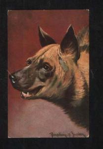 3071434 Portrait of HYENA by DONADINI vintage PC