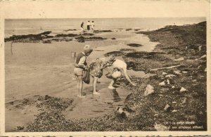 belgium, HEIST a/Zee, Kinderen op het Strand zoeken Mosselen (1950) Postcard