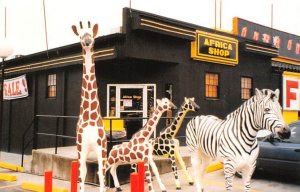 Pedro's African shop South of the Border, South Carolina  