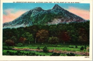 Grandfather Mountain Forestry Wooden Fence Heart Blue Ridge Postcard Unused UNP 