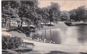 Postcard Lake Scene Roger Williams Park Providence RI