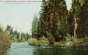 C.1910 Ogden Route Trains, Truckee River, Cal. Vintage Postcard P105