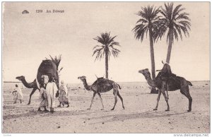 Au DEsert , Algeria , 00-10s