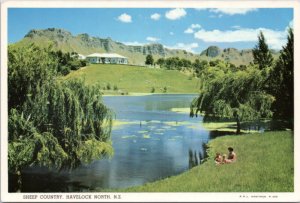 Postcard New Zealand -  Havelock North - Sheep Country