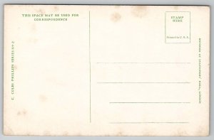 C. Coles Phillips Scottish Bonnie Lass All Wool and Face Value Postcard L36