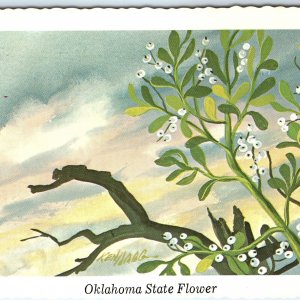 1968 OK Oklahoma State Flower Mistletoe Branch Sunset Ken Haag Painting Art A335