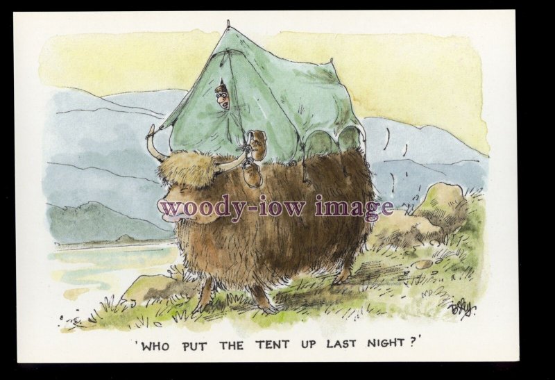 BES108 - Camping - Who put the Tent up Last Night?? - comic postcard by Besley